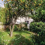 Potok Vi Vakantiehuis