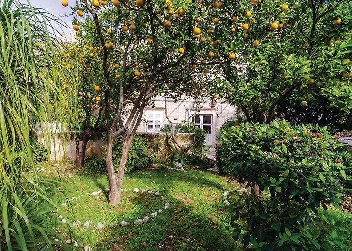 Potok Vi בית נופש