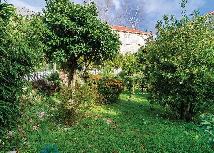 Potok Vi טרסטנו